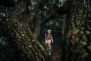 BIB: 
                            <button type="button" onclick="openModal(25678280)" class="btn btn-primary btn-sm float-right btn-popup" data-toggle="modal" data-target=".modal-high-quality">
                        <i class="fas fa-shopping-cart"></i> Add to Cart
                    </button>
                                            <button type="button" onclick="isThisMe(25678280, true)" class="btn btn-success btn-sm float-right btn-popup btn-isme hidden" data-toggle="tooltip" data-placement="bottom" title="นี่คือรูปของคุณใช่ไหม คลิกที่นี่เพื่อเอาเข้าอัลบั้ม">
                        <i class="fas fa-plus"></i> Add to album
                    </button>
                    <button type="button" onclick="isThisMe(25678280, false)" class="btn btn-warning btn-sm float-right btn-popup btn-isnotme hidden">
                        <i class="fas fa-ban"></i> Remove from album
                    </button>